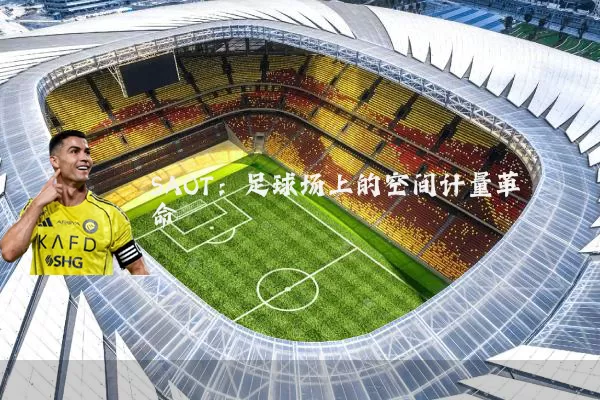 SAOT：足球场上的空间计量革命
